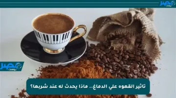 تأثير القهوة على الدماغ.. ماذا يحدث له عند شربها؟